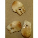 ELK TEETH - Image 2